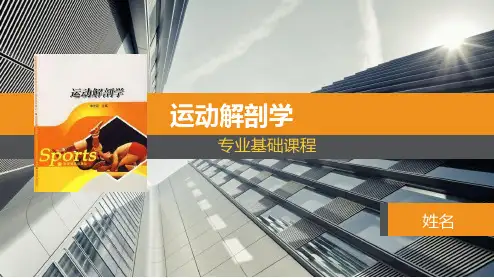 运动解剖学-第一章细胞和细胞间质