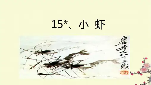 《小虾》ppt课件
