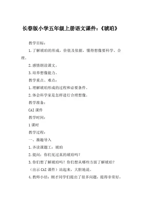长春版小学五年级上册语文课件《琥珀》