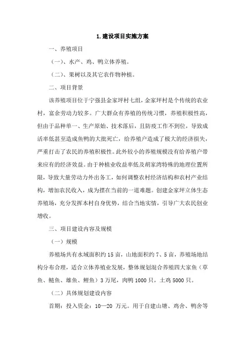 建设项目实施方案4篇