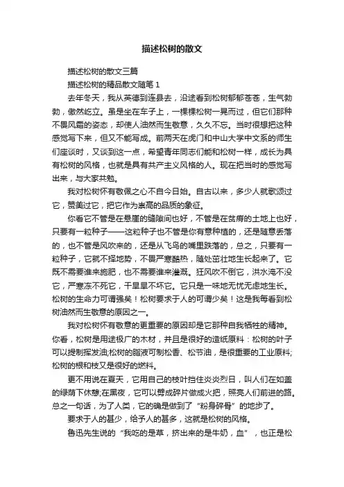 描述松树的散文