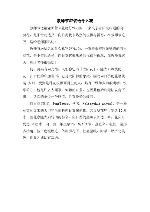 教师节应该送什么花