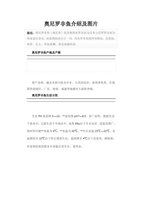奥尼罗非鱼介绍及图片