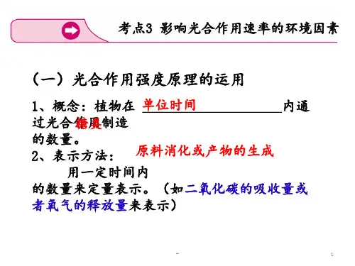 影响光合作用的因素PPT课件