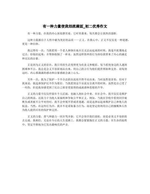 有一种力量使我泪流满面_初二优秀作文