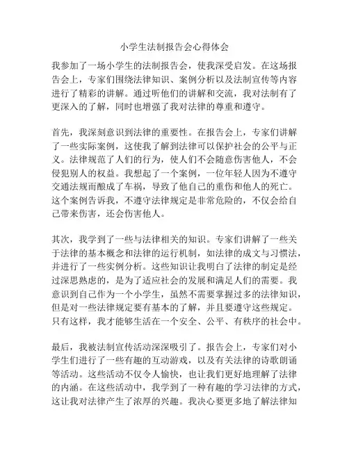 小学生法制报告会心得体会