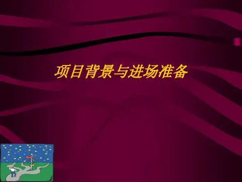 项目背景与进场准备概述(ppt 202页)