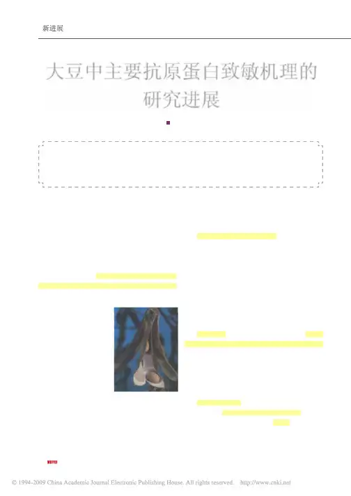 大豆中主要抗原蛋白致敏机理的研究进展