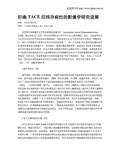 肝癌TACE后残存病灶的影像学研究进展
