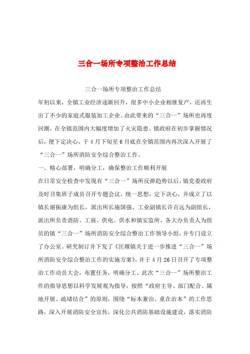 2019年整理--三合一场所专项整治工作总结