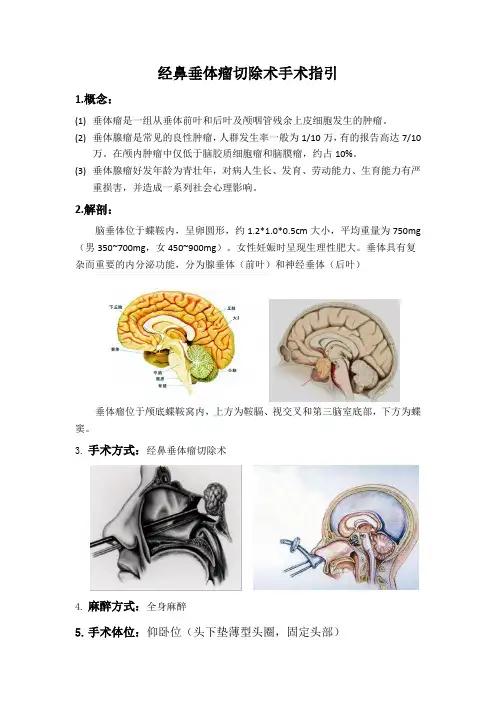 经鼻垂体瘤切除术手术指引