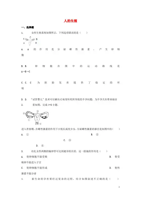 七年级生物下册 4.1.2《人的生殖》习题2 (新版)新人教版