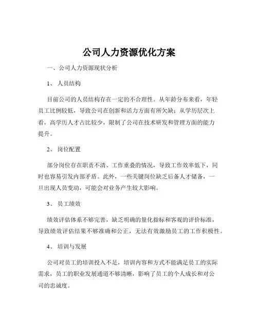 公司人力资源优化方案