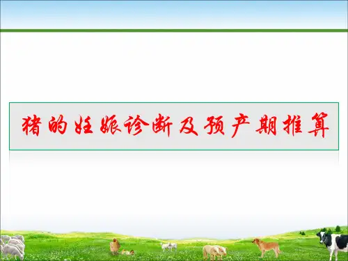 猪的妊娠诊断及预产期推算课件(共25张PPT)《畜禽繁殖》同步教学(中国农业出版社)