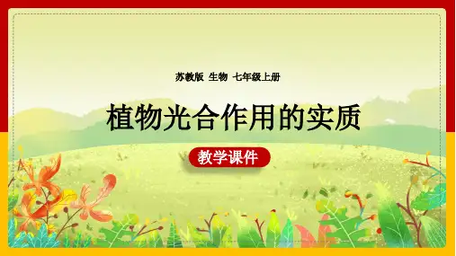 初中生物苏教版七年级上册《植物光合作用的实质》课件(1)