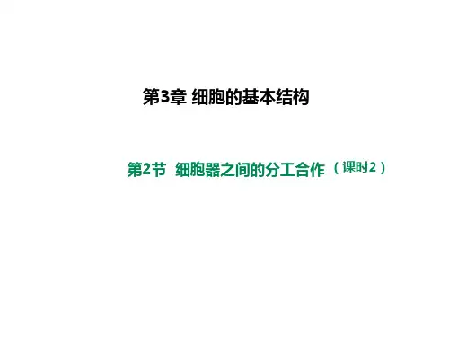 《细胞器之间的分工合作》人教版高中生物专家课件