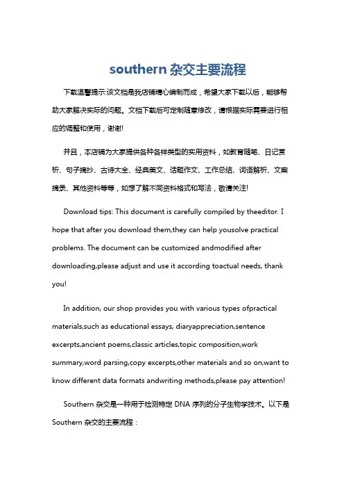 southern杂交主要流程