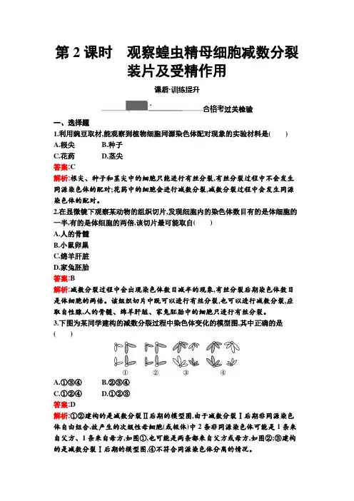 高中生物人教版必修二课后习题  观察蝗虫精母细胞减数分裂装片及受精作用(含答案解析)