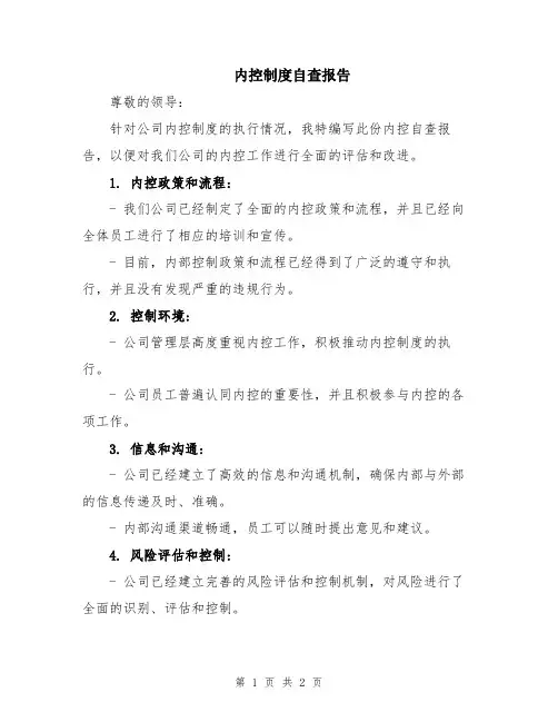 内控制度自查报告