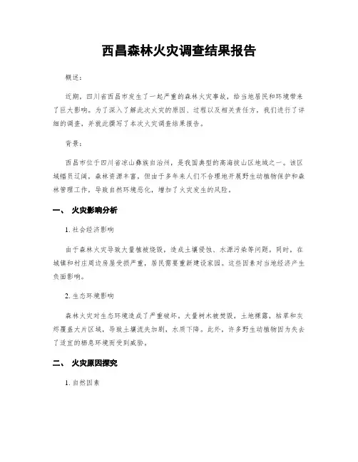 西昌森林火灾调查结果报告