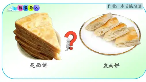 第一节发酵技术课件济南版生物八年级下册