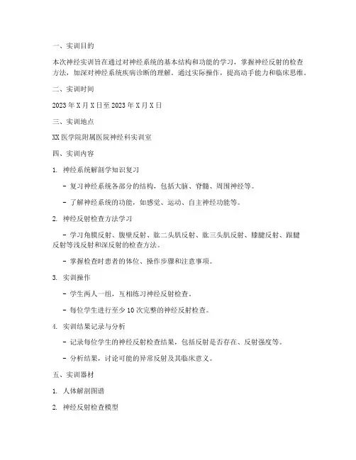 神经实训报告