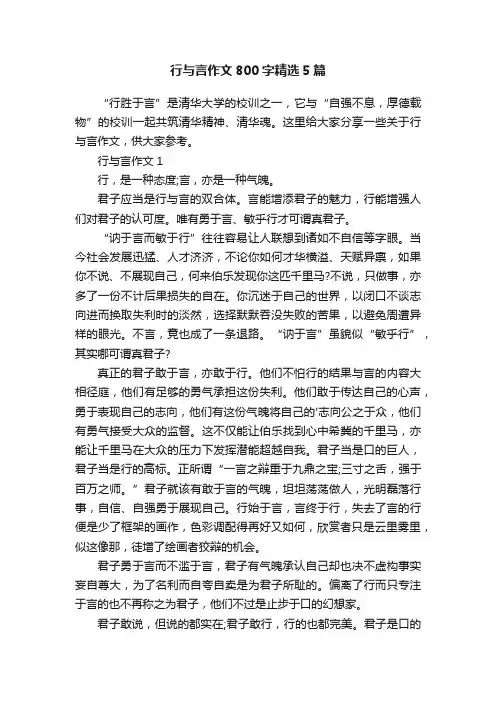 行与言作文800字精选5篇