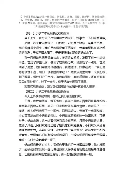 小学二年级观察蚂蚁的作文