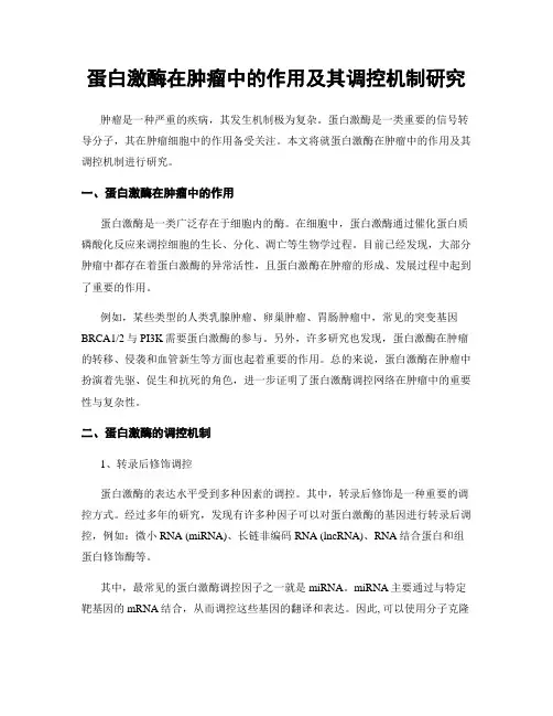 蛋白激酶在肿瘤中的作用及其调控机制研究