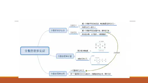 人教版三年级上册分数的初步认识整理与复习