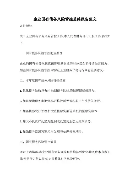 企业国有债务风险管控总结报告范文