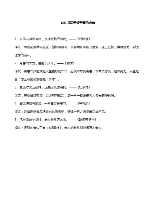 奋斗书写无悔青春的诗句
