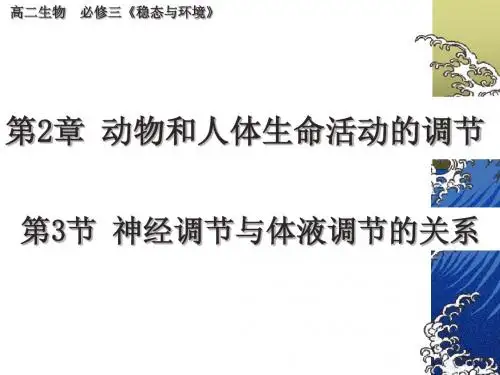 第2章__第3节《神经调节与体液调节的关系》