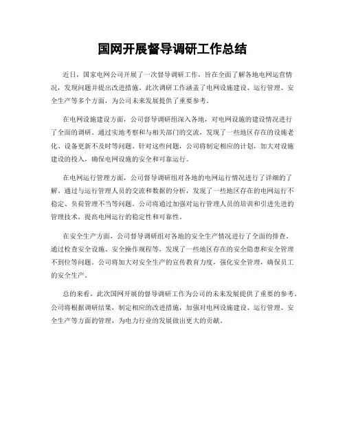 国网开展督导调研工作总结