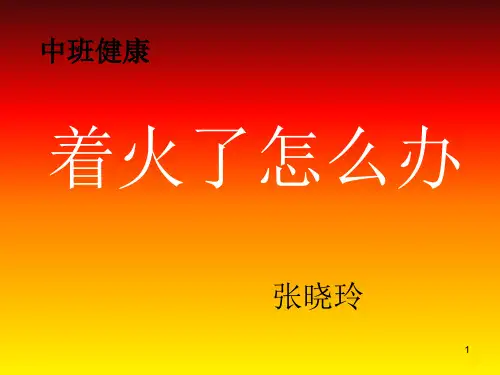 着火了怎么办ppt课件