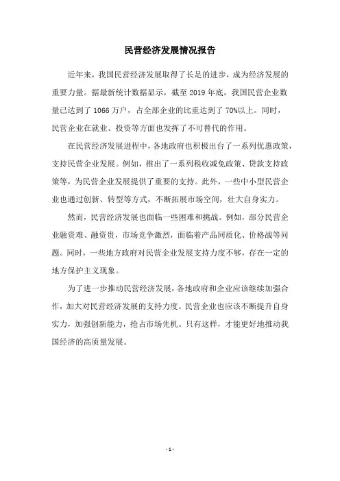 民营经济发展情况报告