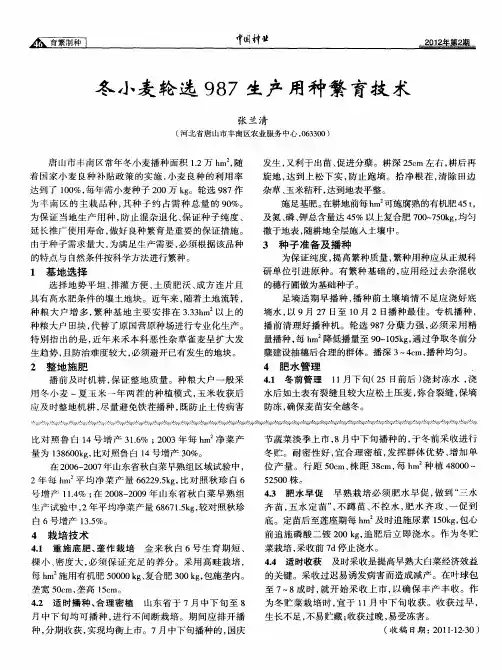 冬小麦轮选987生产用种繁育技术