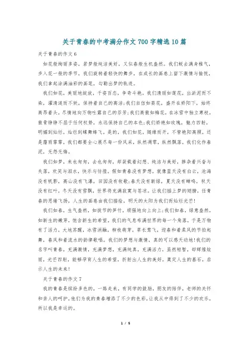 关于青春的中考满分作文700字精选10篇