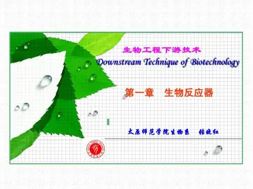 第1章(4学时) 生物反应器