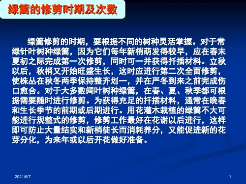 绿篱的修剪整形