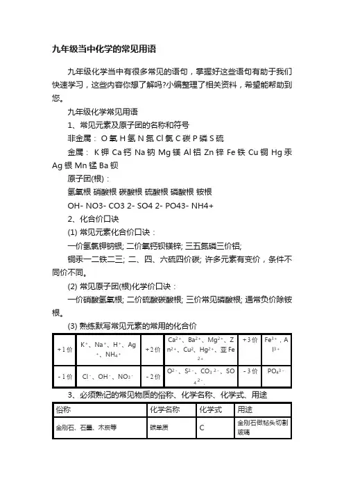 九年级当中化学的常见用语