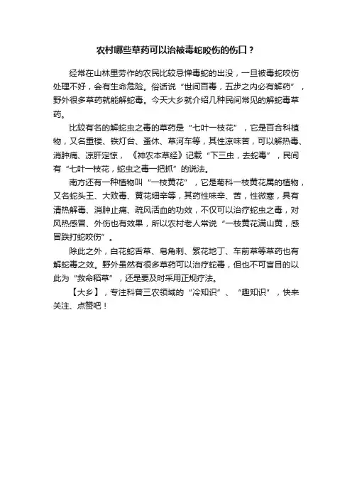 农村哪些草药可以治被毒蛇咬伤的伤口？