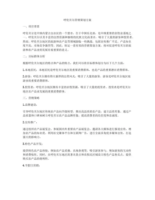 呼伦贝尔营销策划方案
