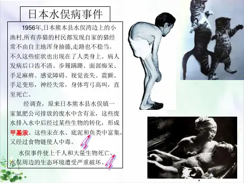 《生态系统》精品ppt课件