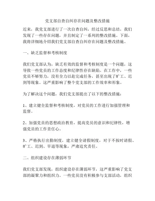 党支部自查自纠存在问题及整改措施