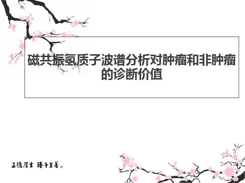 磁共振波谱成像  ppt课件  ppt课件