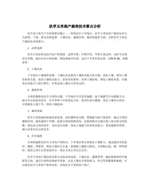 抗旱玉米高产栽培技术要点分析