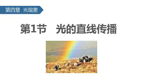 4-1 光的直线传播 课件(共36张PPT)