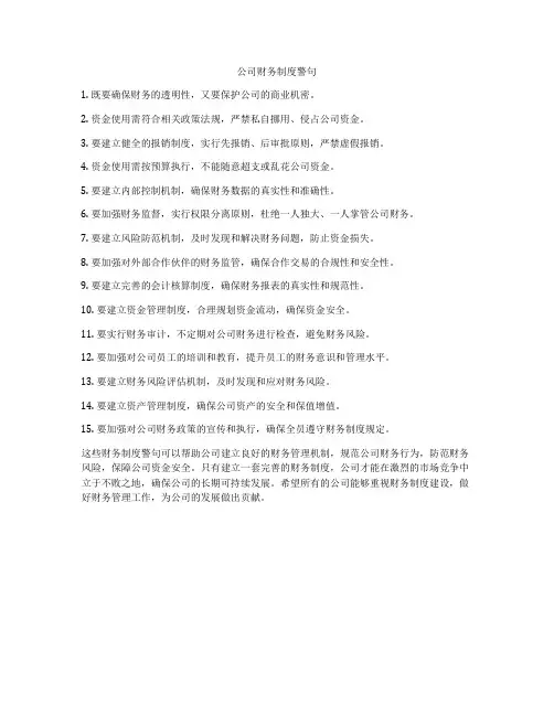 公司财务制度警句