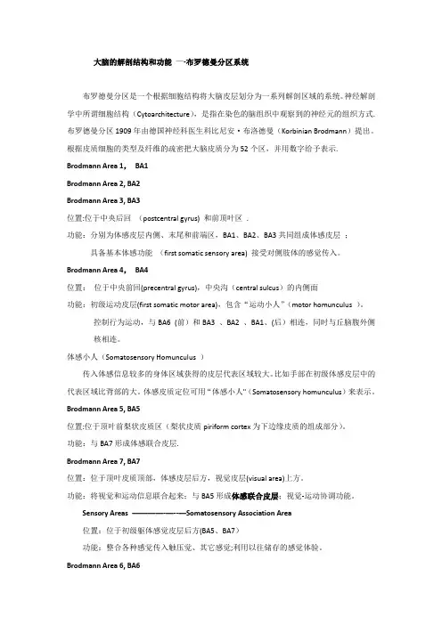 大脑的解剖结构和功能——布鲁德曼分区【范本模板】